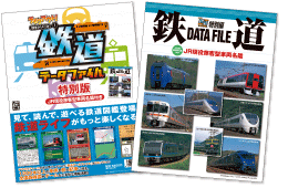 DSイメージ
